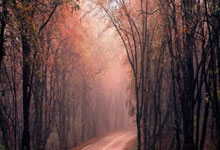 76人若输球将彻底无缘季后赛，ESPN赛前预测费城胜率不足25%.