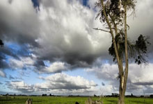 [NBA]常规赛3月29日：太阳VS森林狼 兰德尔集锦.