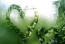 世界第二斯瓦泰克回应药检阳性：我没做错什么中新体坛.