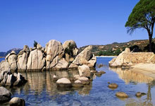 国安冬训收获不小 休整后海口开练 塞鸟大概率现身.